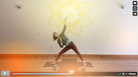 Asheville Community Yoga | Freedom Through Service