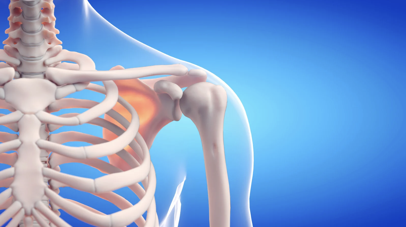 yoga studio interior